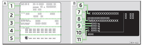 Abb. 215 Fahrzeugdatenträger / Typschild