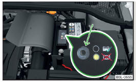 Abb. 173 Fahrzeugbatterie: Säurestandsanzeige